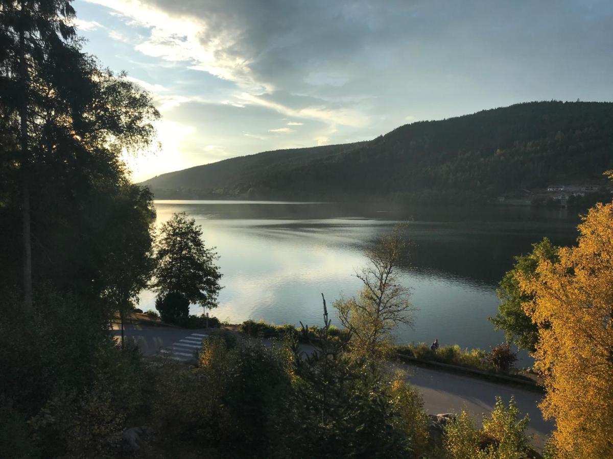 Apartament Le Deux Pieces Gérardmer Zewnętrze zdjęcie